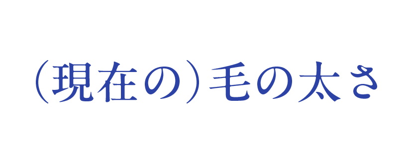 （現在の）毛の太さ